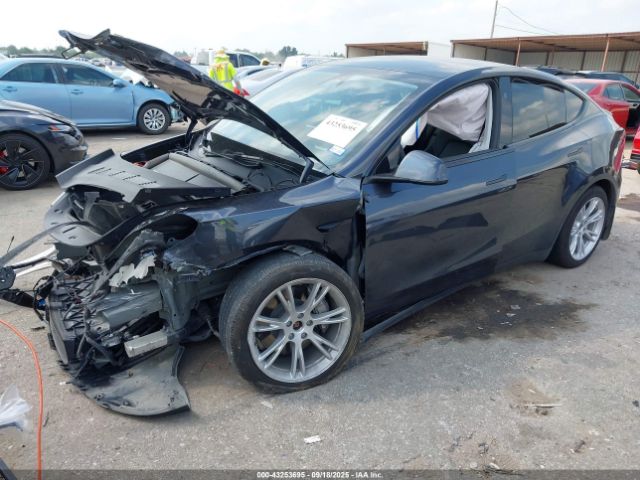 2024 TESLA MODEL Y 7SAYGDEEXRA239824 Photo 1