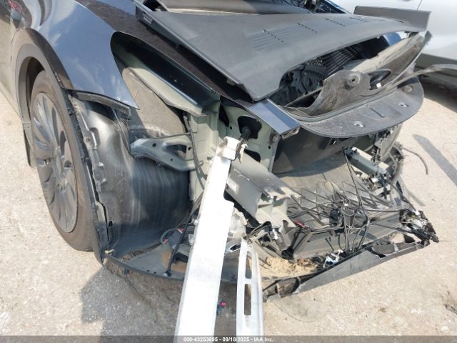 2024 TESLA MODEL Y 7SAYGDEEXRA239824 Photo 5