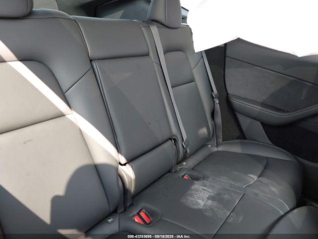 2024 TESLA MODEL Y 7SAYGDEEXRA239824 Photo 7