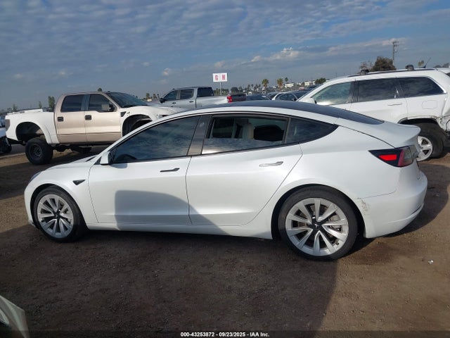 Tesla 2021 2021 5YJ3E1EA7MF879252 Image 13