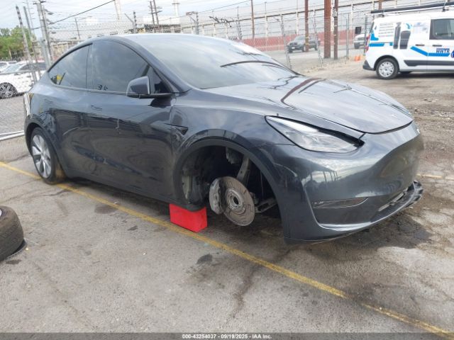 2024 TESLA MODEL Y 7SAYGDED1RF093114 Photo 0