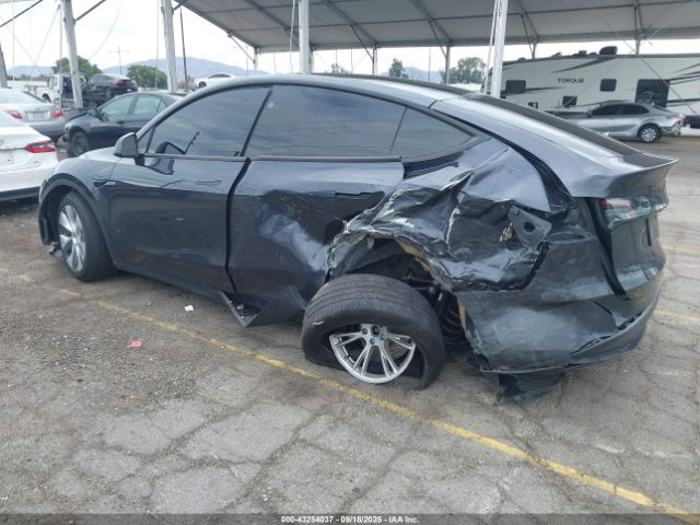 2024 TESLA MODEL Y 7SAYGDED1RF093114 Photo 2