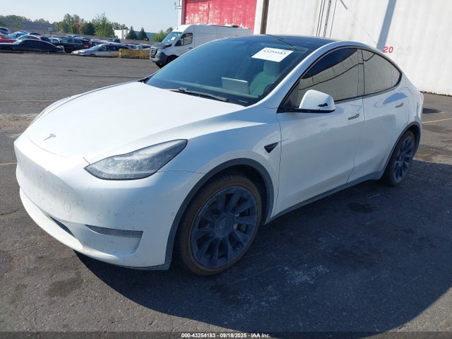 5YJYGDEE7LF023811 Tesla 2020