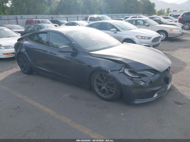 2024 TESLA MODEL S 5YJSA1E51RF546482