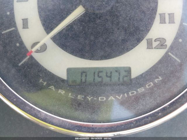 2009 HARLEY-DAVIDSON FLSTN 1HD1JD5189Y036106 Photo 6
