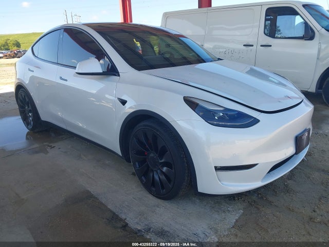 2022 TESLA MODEL Y 7SAYGDEF2NF336635 Photo 0