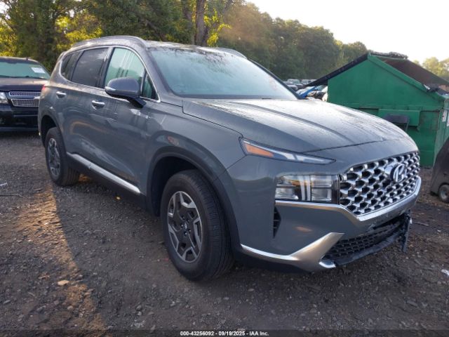 2023 HYUNDAI SANTA FE HYBRID 5NMS2DA14PH014561