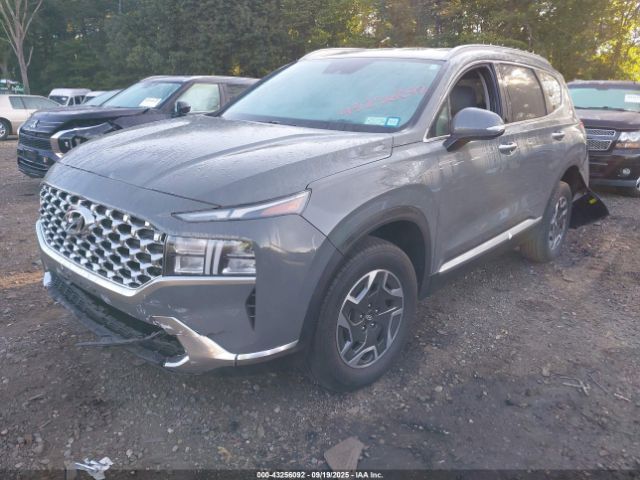 2023 HYUNDAI SANTA FE HYBRID 5NMS2DA14PH014561 Photo 1