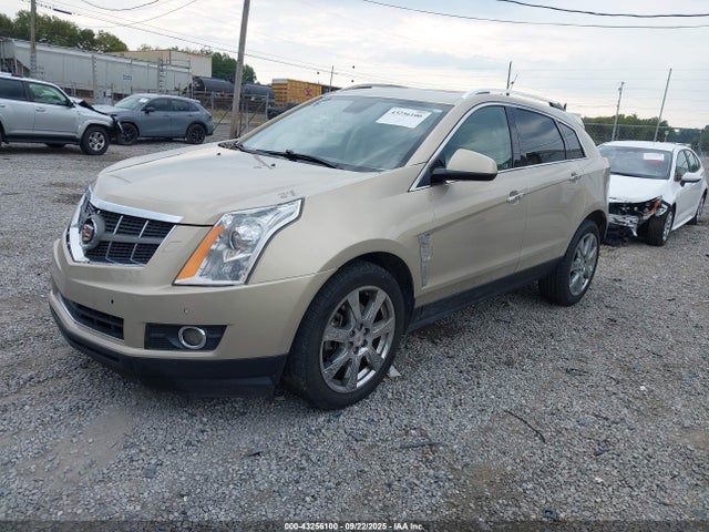 2011 CADILLAC SRX 3GYFNBEY4BS554394 Photo 1