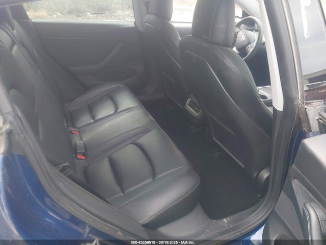 2021 TESLA MODEL 3 5YJ3E1EC0MF925358 Photo 7