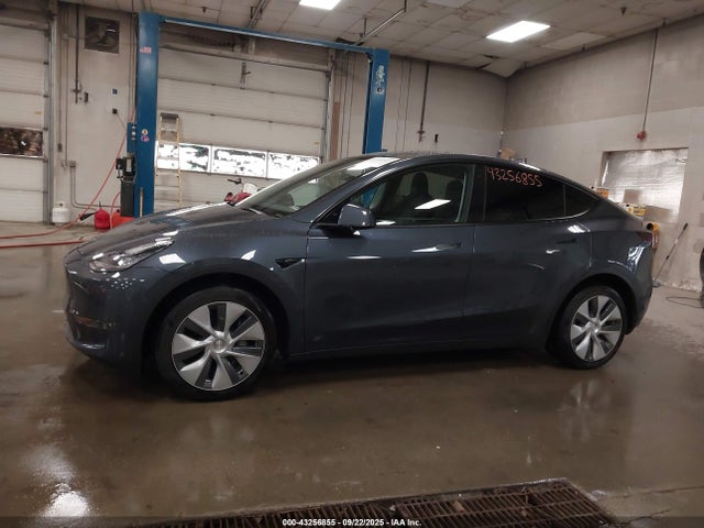 Продажа на аукционе авто 2023 Tesla Model Y Awd/long Range Dual Motor All-wheel Drive, vin: 7SAYGDEE1PA081905, номер лота: 43256855