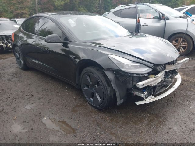 2021 TESLA MODEL 3 5YJ3E1EB3MF081212 Photo 0