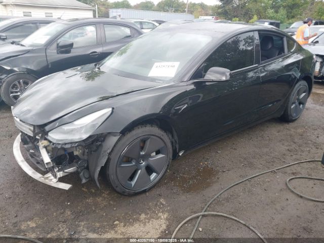 2021 TESLA MODEL 3 5YJ3E1EB3MF081212 Photo 1