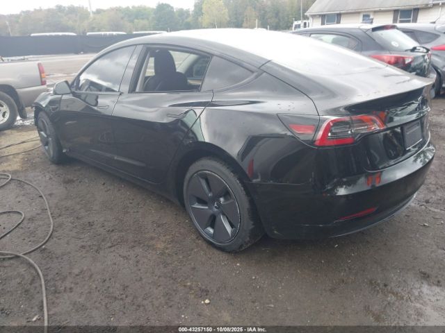 2021 TESLA MODEL 3 5YJ3E1EB3MF081212 Photo 2