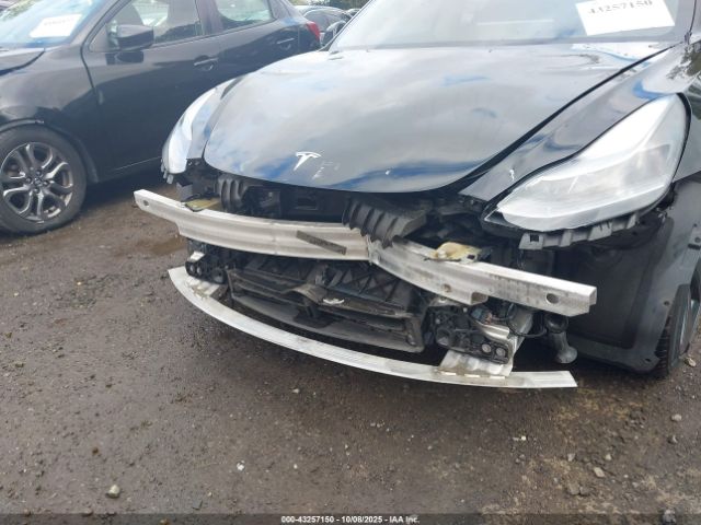 2021 TESLA MODEL 3 5YJ3E1EB3MF081212 Photo 5