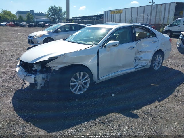 43257318 :رقم المزاد ، JTHBK1EG3A2391504 vin ، 2010 Lexus Es 350 مزاد بيع
