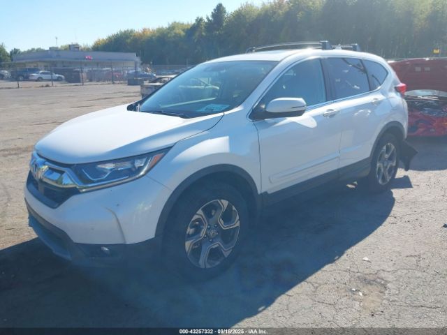 2019 HONDA CR-V JHLRW2H8XKX013914 Photo 1