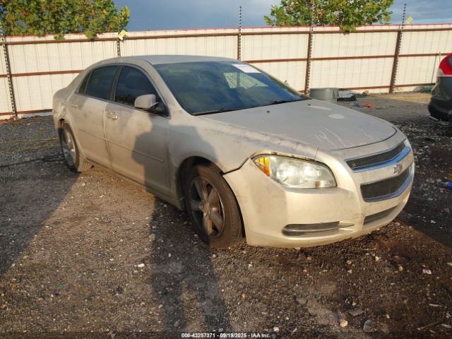 2010 CHEVROLET MALIBU 1G1ZD5EB1AF145784