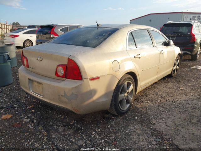 2010 CHEVROLET MALIBU 1G1ZD5EB1AF145784 Photo 3