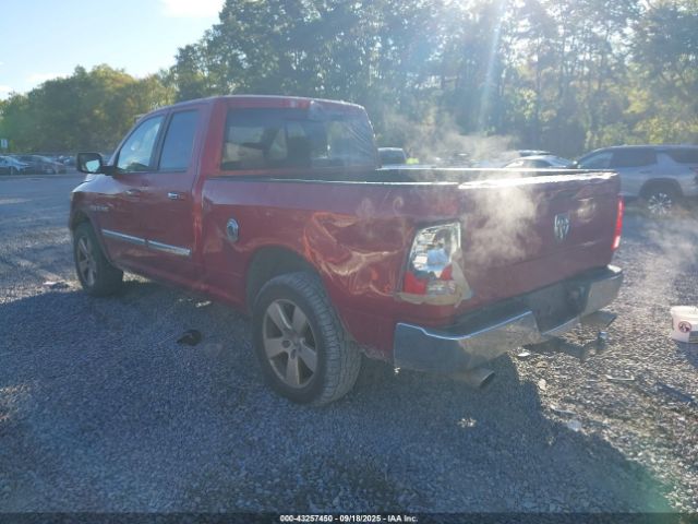 2009 DODGE RAM 1500 1D3HV18T89S768486 Photo 2