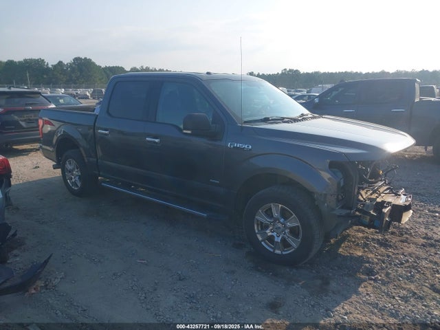Ford F-150 2016 1FTEW1CP3GFB19283 Image 13