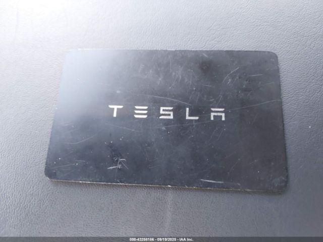 2023 TESLA MODEL 3 5YJ3E1EA3PF677688 Photo 10