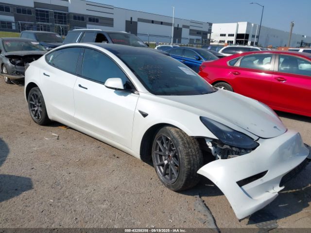 2021 TESLA MODEL 3 5YJ3E1EB7MF020011 Photo 0