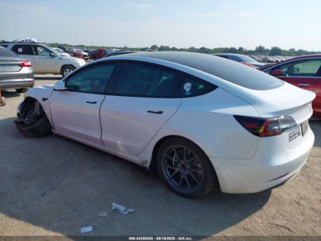 2021 TESLA MODEL 3 5YJ3E1EB7MF020011 Photo 2