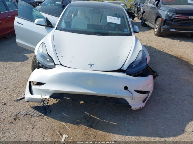 2021 TESLA MODEL 3 5YJ3E1EB7MF020011 Photo 5