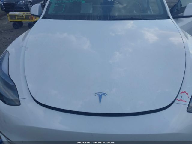 2025 TESLA MODEL Y 7SAYGDEE0SA370590 Photo 9