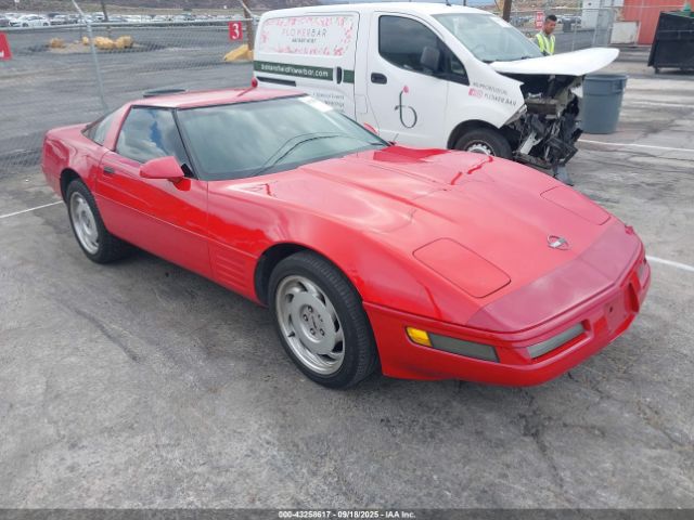 1991 CHEVROLET CORVETTE 1G1YY2387M5105385