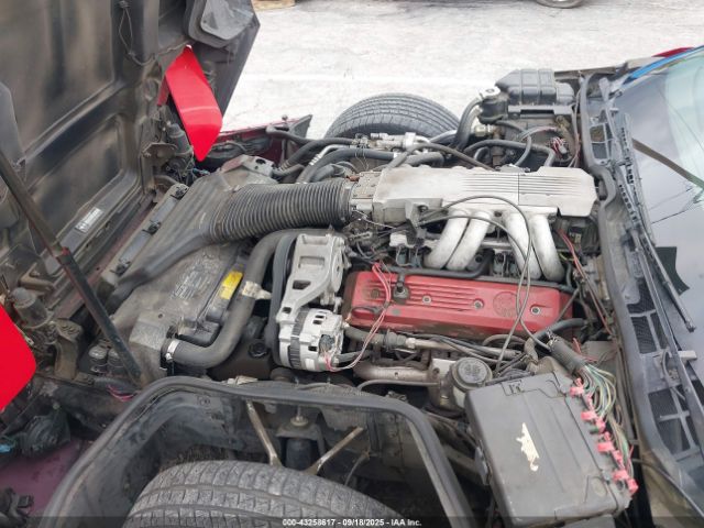 1991 CHEVROLET CORVETTE 1G1YY2387M5105385 Photo 9