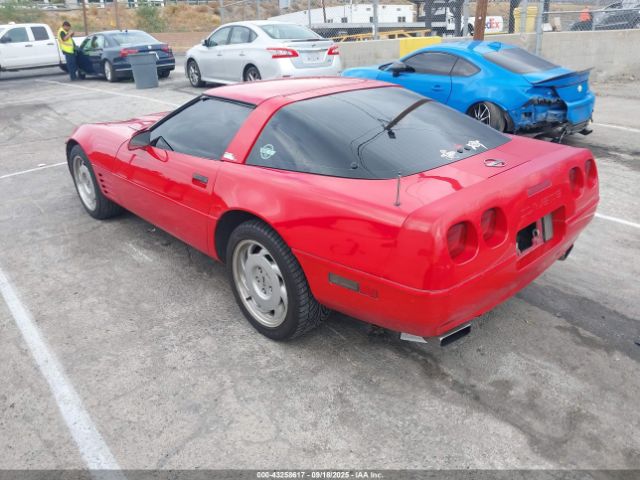 1991 CHEVROLET CORVETTE 1G1YY2387M5105385 Photo 2
