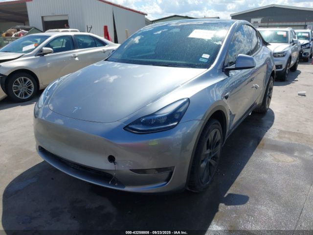 2024 TESLA MODEL Y 7SAYGDEE5RA333769 Photo 1