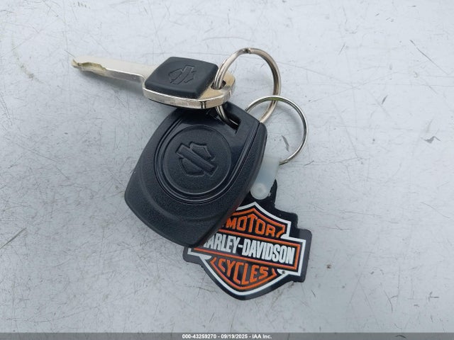 1HD1ZC425MB315084 Harley-Davidson 2021