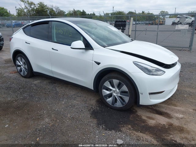 2023 TESLA MODEL Y 7SAYGAEE5PF917779 Photo 0