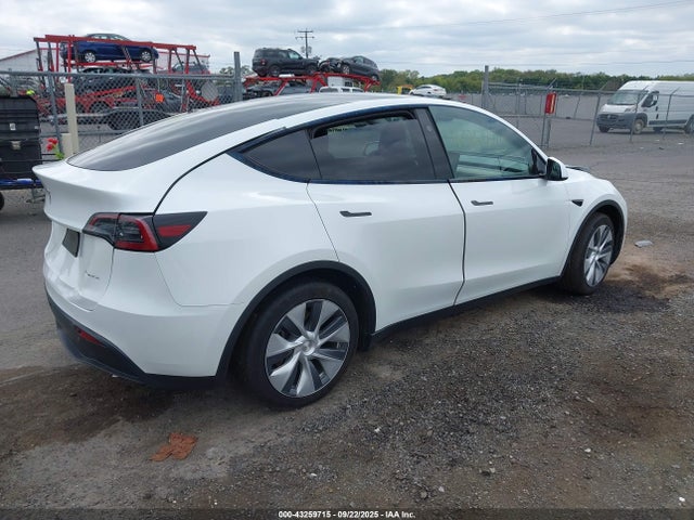 2023 TESLA MODEL Y 7SAYGAEE5PF917779 Photo 3