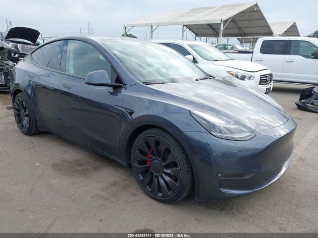 2023 TESLA MODEL Y 7SAYGDEF2PF864243 Photo 0