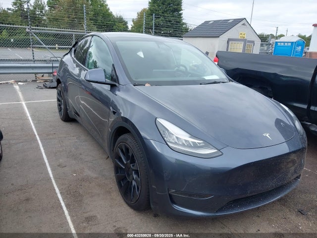 2021 TESLA MODEL Y 5YJYGAEE0MF299151 Photo 0