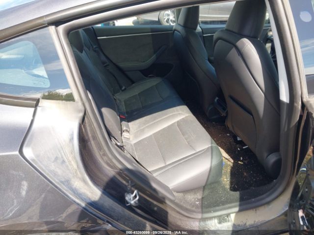 2025 TESLA MODEL 3 5YJ3E1EB3SF902449 Photo 7