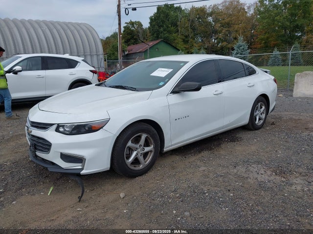 Aukcja sprzedaży 2017 Chevrolet Malibu 1fl, vin: 1G1ZC5ST0HF262458, numer aukcji: 43260555