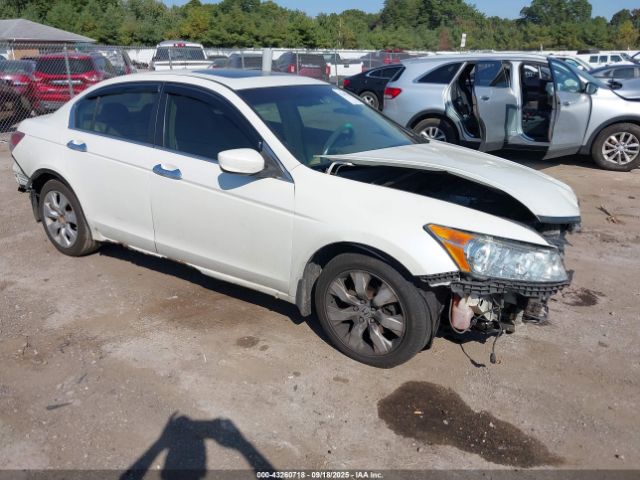 2009 HONDA ACCORD SDN 1HGCP36809A008504