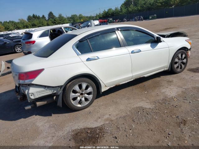 2009 HONDA ACCORD SDN 1HGCP36809A008504 Photo 3