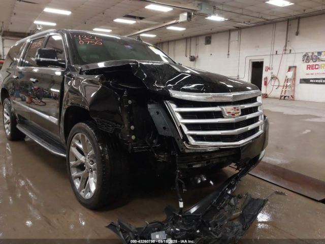 2019 CADILLAC ESCALADE ESV 1GYS4HKJ6KR116863 Photo 5