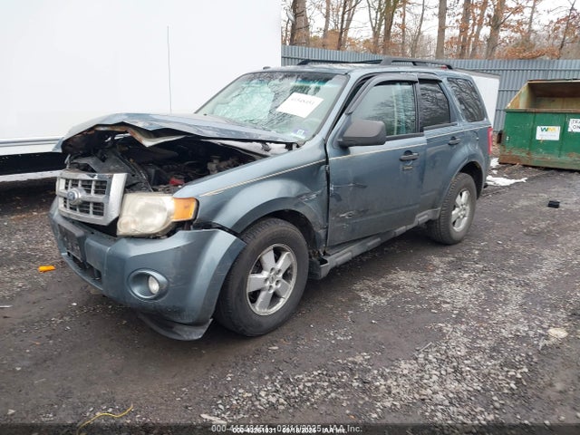 2010 Ford Escape Xlt მანქანა იყიდება აუქციონზე, vin: 1FMCU9DG2AKB65109, აუქციონის ნომერი: 43261031