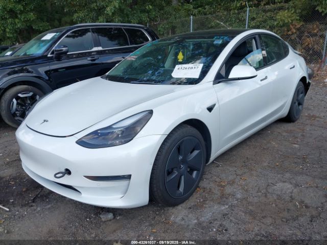 2022 TESLA MODEL 3 5YJ3E1EBXNF192681 Photo 1