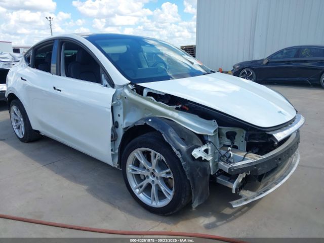 2023 TESLA MODEL Y 7SAYGDEE6PA078790 Photo 0