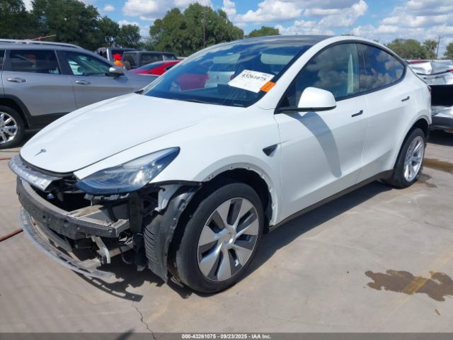 2023 TESLA MODEL Y 7SAYGDEE6PA078790 Photo 1