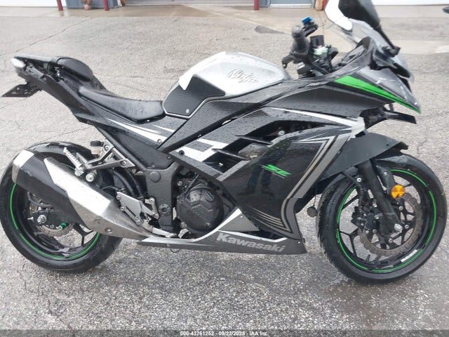 Kawasaki Ninja 300 2015 JKAEX8A19FDA24609 Image 13