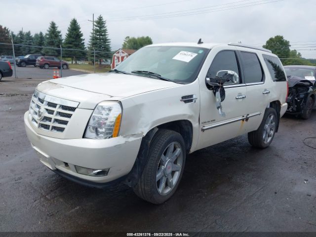 2012 CADILLAC ESCALADE 1GYS4BEF3CR133366 Photo 1